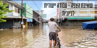 מה זה ביובית? ומה הם סוגי הביובית הנפוצים?